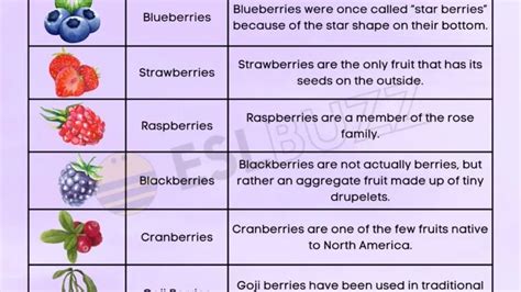 Image result for Computer Terminology Refresh