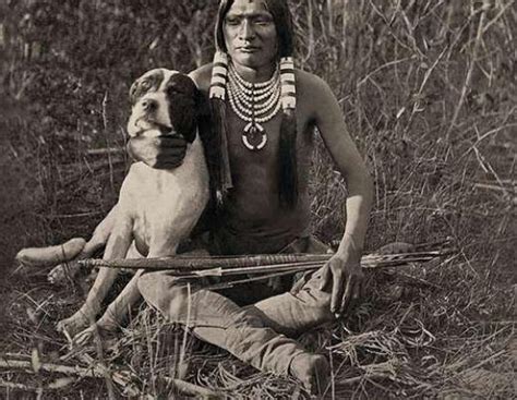 Afbeeldingsresultaten voor Native Aussie Dogs