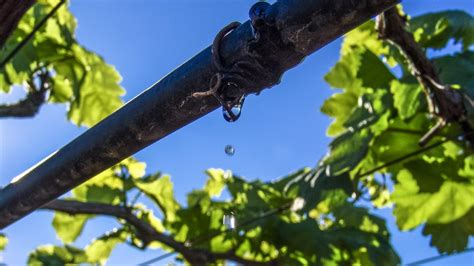 Image result for Edge Impulse Vineyard Irrigation