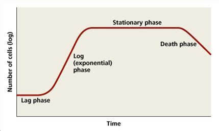 Image result for Generation Time Graph Micro Lag Log Phase