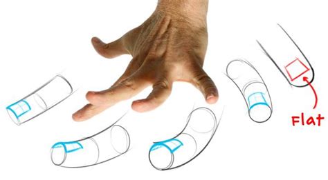 How to Draw Hands Proko に対する画像結果