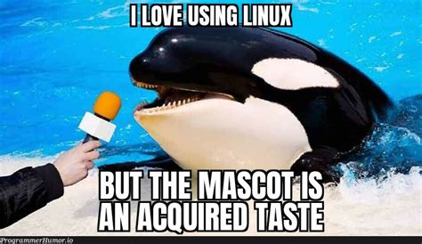Image result for Linux Programmer Meme