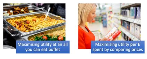 Image result for How to Maximize Utility