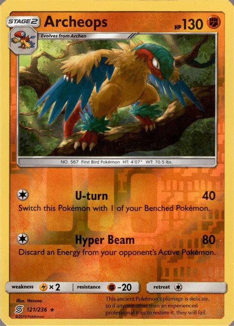 Archen Card に対する画像結果