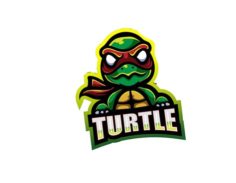 Image result for Logo Turtle Graphics