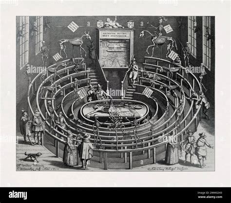 Image result for Anatomisch Museum Leiden