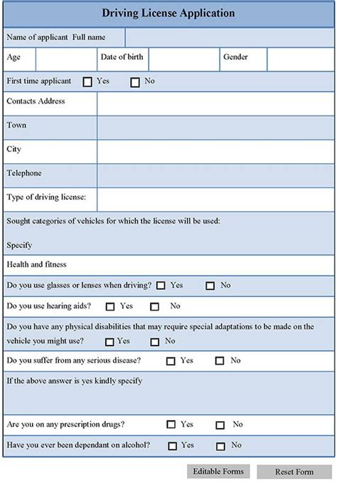 Image result for MS Learner's Permit Form