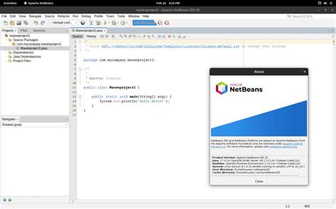 Image result for Java Apache NetBeans