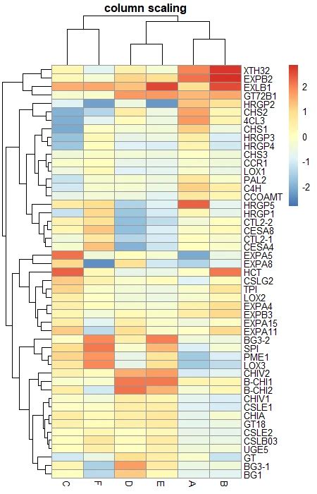 Afbeeldingsresultaten voor Example of Grading Scale Heatmap