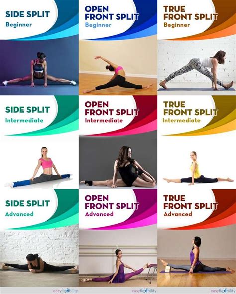 Splits Exercises に対する画像結果