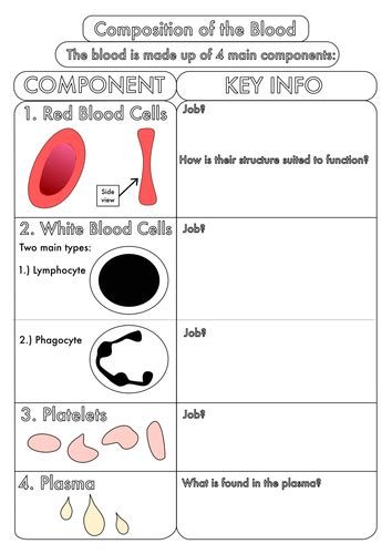 Image result for Components of Blood Worksheet Answers PDF