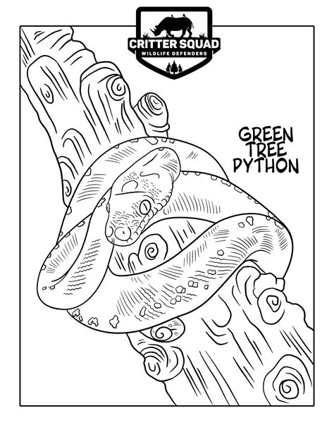 Image result for Python Snake Coloring Page in a Tree