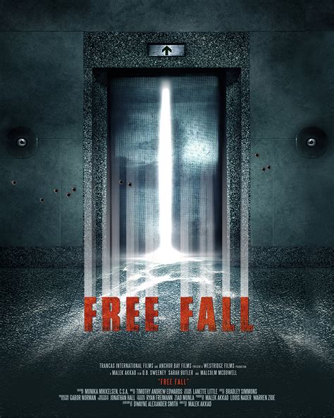 Image result for Free Fall 2014