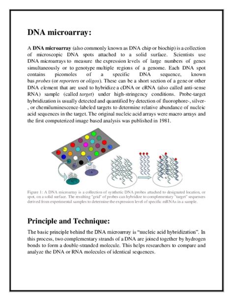 Image result for Microarray Technique Principle
