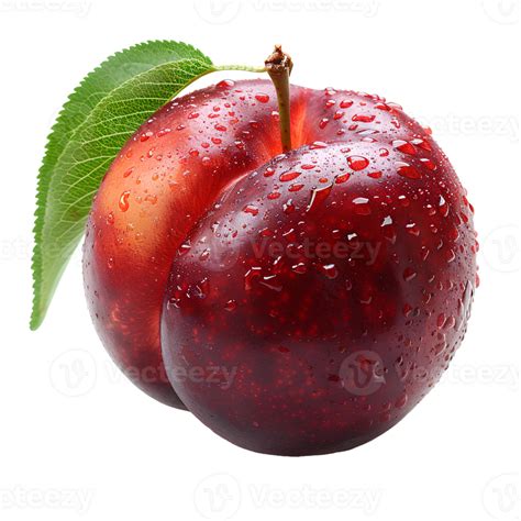 Image result for Nectarine PNG