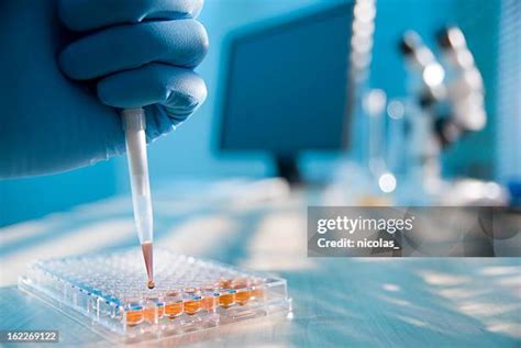 Microscope Plate Diameter に対する画像結果