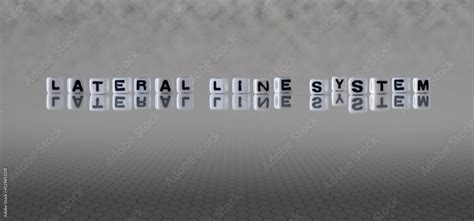 Lateral Line On a Graph に対する画像結果