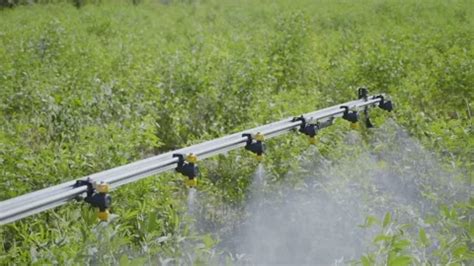 Image result for Spraying Machine Motobrom