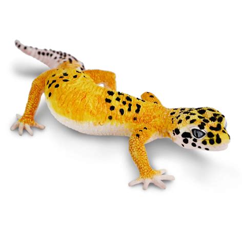 Image result for Remote Control Gecko Toy