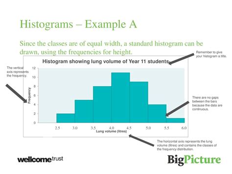 Image result for Class Width Histogram