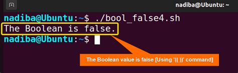 Image result for Bin Bash Boolean Script