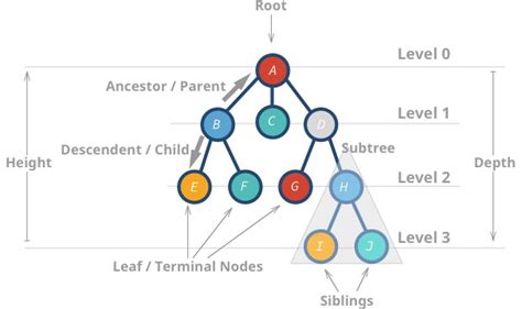Image result for Tree in Data Structure