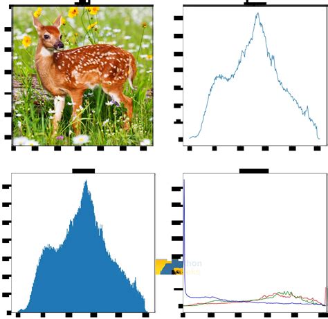 Afbeeldingsresultaten voor Histeq Normal Distribution