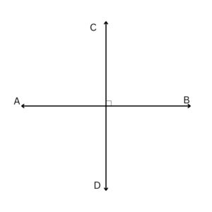 Image result for Perpendicular Line Theorem