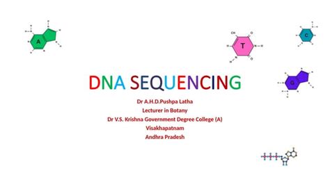 DNA Sequencing Sanger Method に対する画像結果
