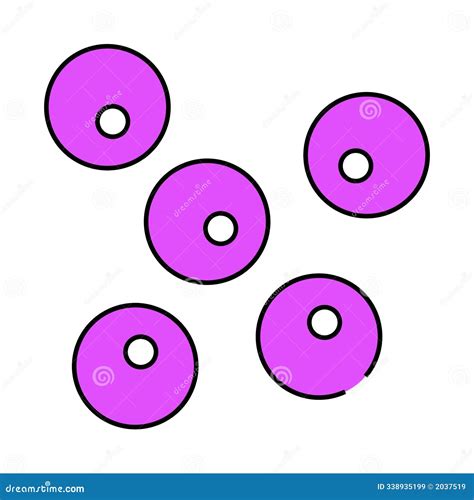 Image result for Coccus