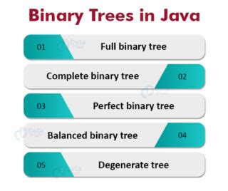 Image result for Add All Collection Java Binary Tree