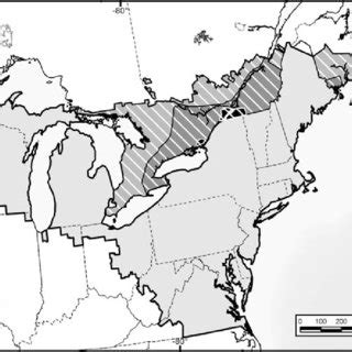 Gypsy Moth in Canada に対する画像結果