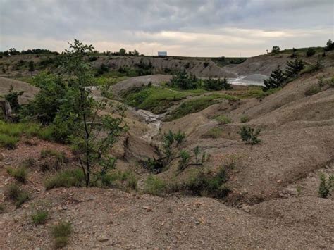 Image result for Fossil and Gem Hunting in Iowa