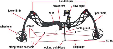 Image result for String Guide Compound Bow