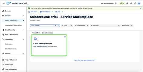 Toradh íomhá ar BTP Applications