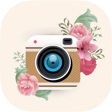 Image result for Retro Camera UI Filter