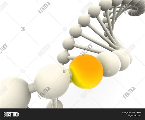 Image result for Gene Expression DNA 3D
