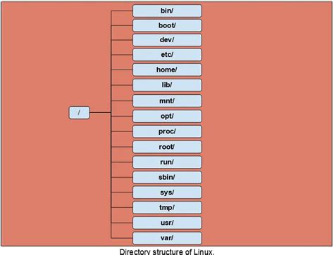 Image result for Dev Directory in Linux