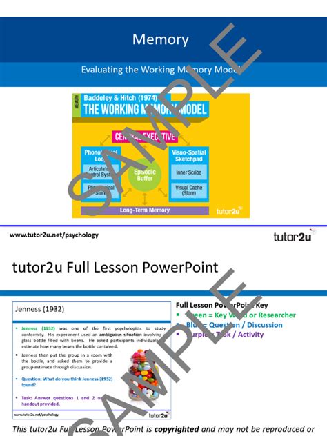Image result for Working Memory Model Evaluation