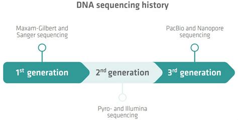 DNA Sequencing Steps に対する画像結果