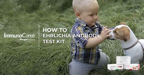 Toradh íomhá ar Subclinical Stage