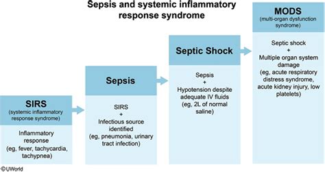 Sepsis Treatment - Edelhard Verlin