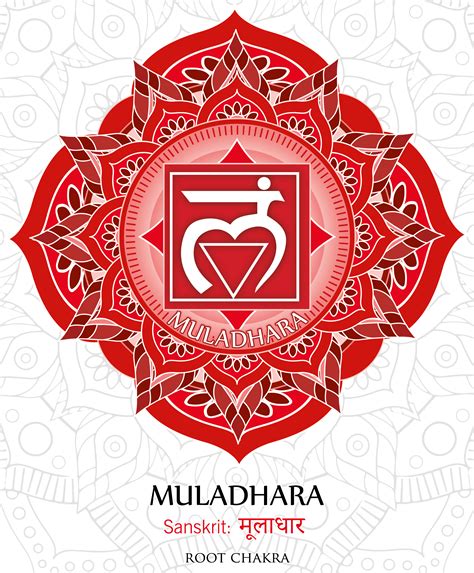 Root Chakra System に対する画像結果