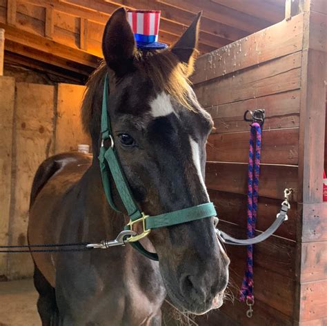 Image result for Facebook Loading Interface Image