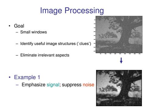 Image result for Image Processing Examples