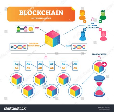 Blockchain Vector Illustration Labeled Explanation Diagram Stock Vector ...
