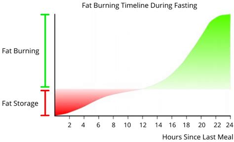 Image result for Fasting Timeline Chart