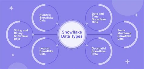 Snowflake Python Types に対する画像結果