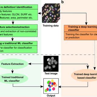 Machine Learning Classification Workflow に対する画像結果