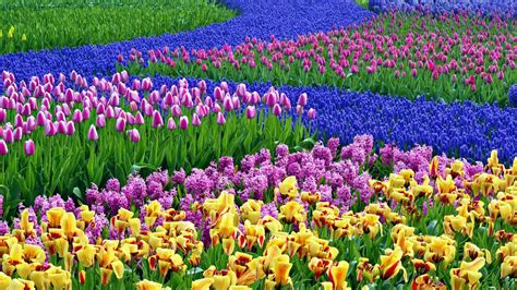 Image result for Colorful Spring Desktop Wallpaper